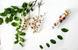 Farmacia-verde-flori-de-salcam